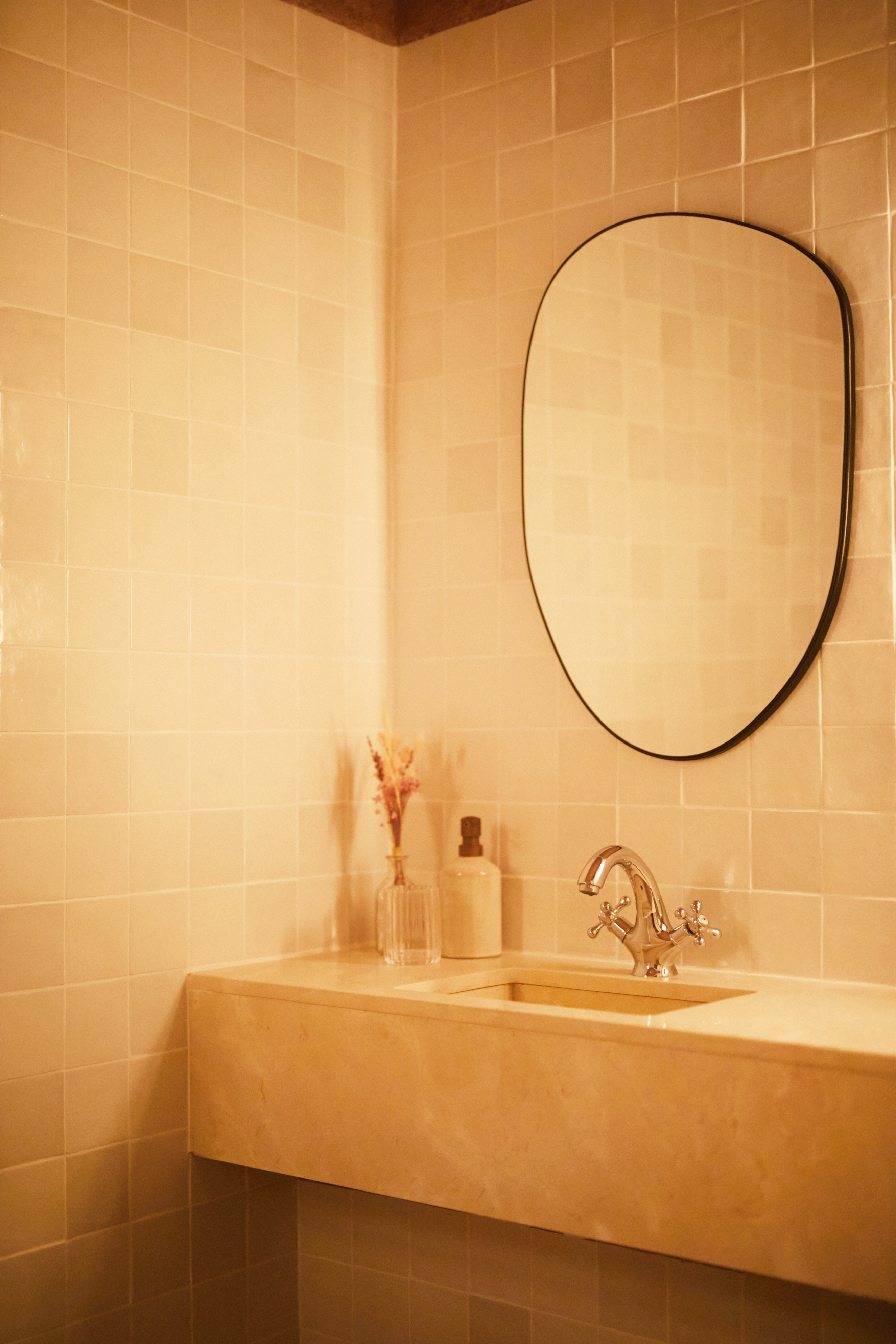 Picture showing the Belleyme project